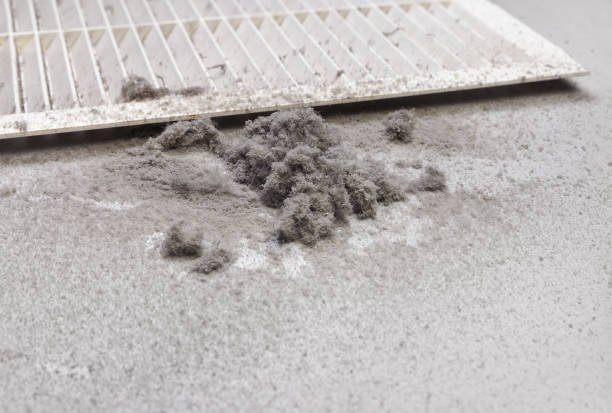 Best Ventilation Cleaning Services  in Harlan, IN