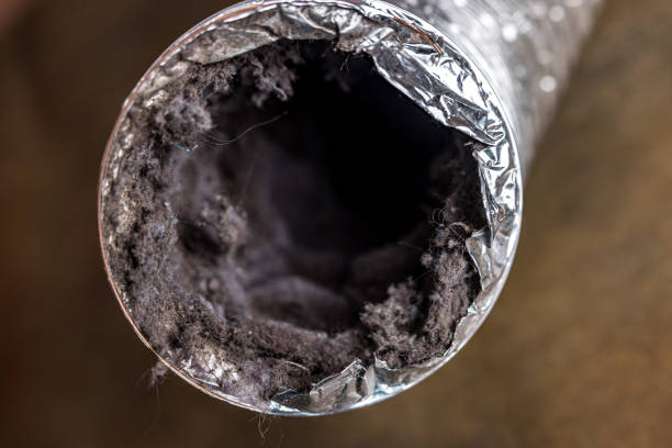 Best Ductwork Cleaning Services  in Harlan, IN