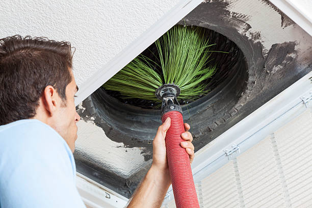 Best Air Duct Mold Removal  in Harlan, IN