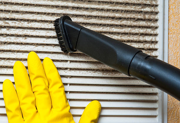 Best Professional Duct Cleaning Services  in Harlan, IN